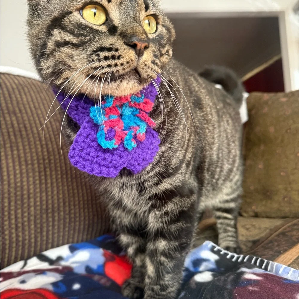 Handmade Purple Cat / small dog scarf with Multicolor Accents